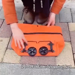 1695722259285008.gif 1.gif