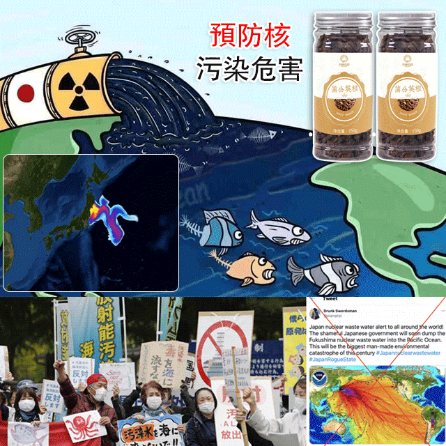 【防輻射】品華天寶 蒲公英根茶 【防輻射】品華天寶 蒲公英根茶